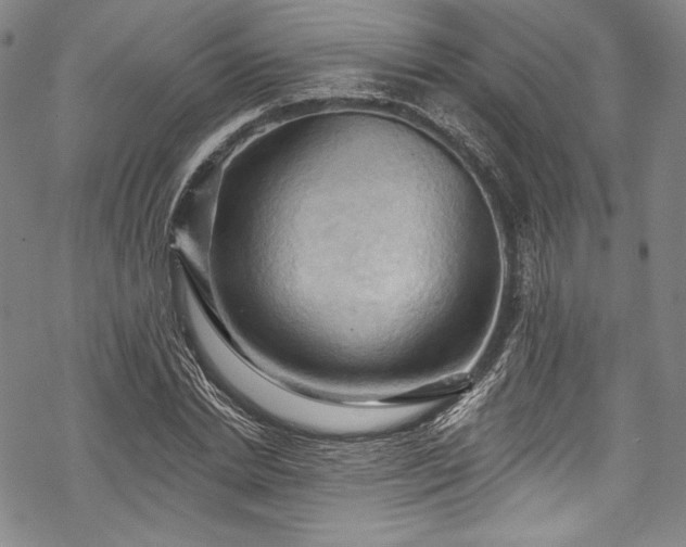 X0000068740830200605051449