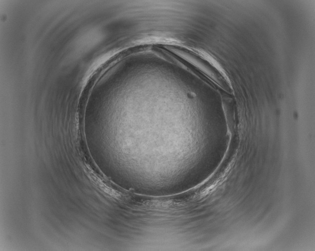 X0000068740831200605051449