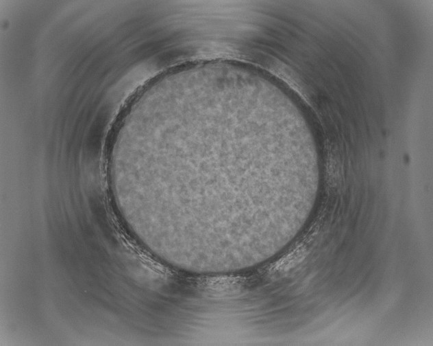 X0000068740832200605051449