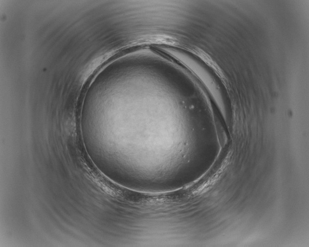 X0000068740834200605051449