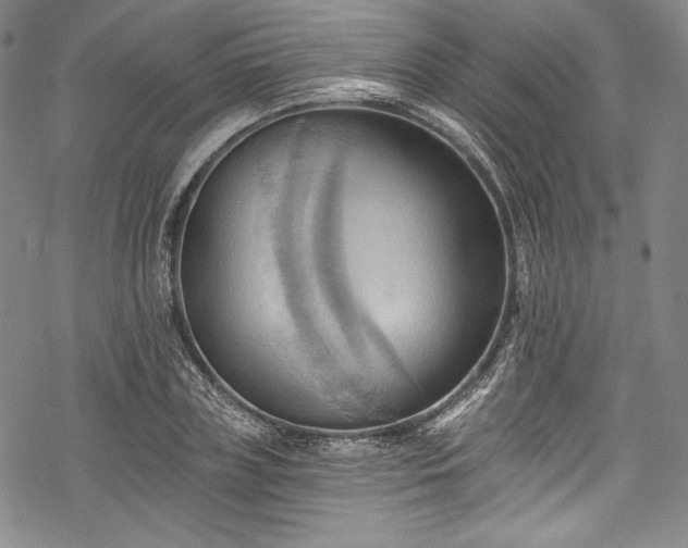 X0000068740835200605051449