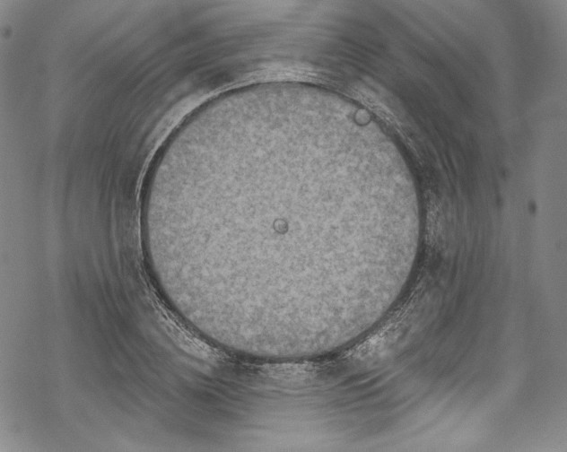 X0000068740836200605051449