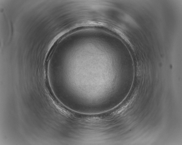 X0000068740837200605051449