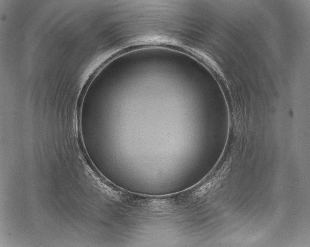 X0000068740839200605051449