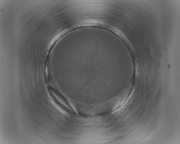 X0000068740842200605051449