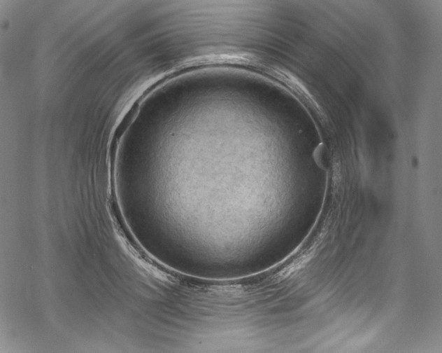 X0000068740844200605051449