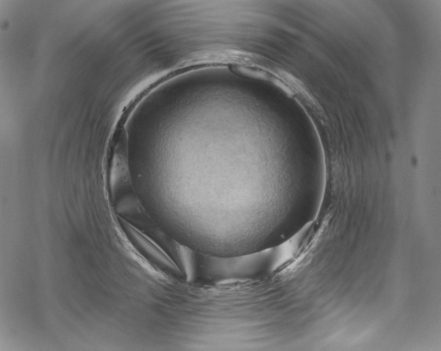 X0000068740846200605051449