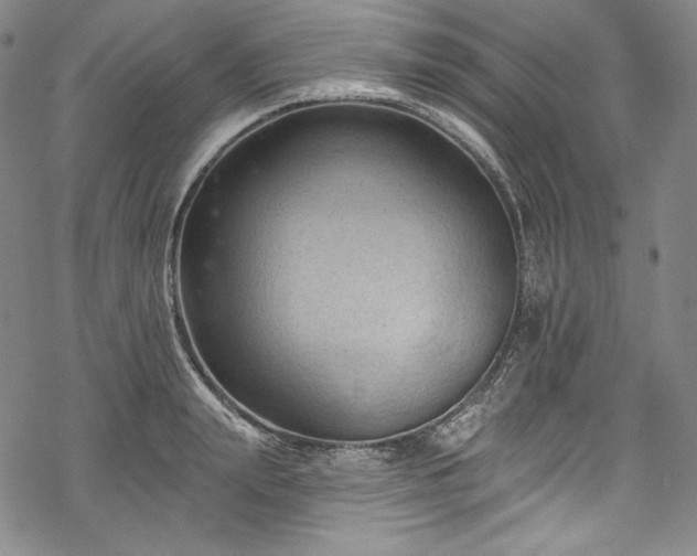 X0000068740847200605051449