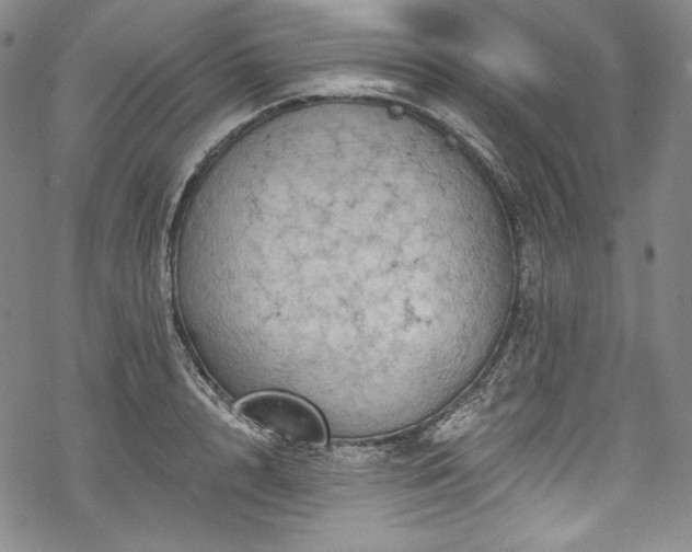 X0000068740848200605051449