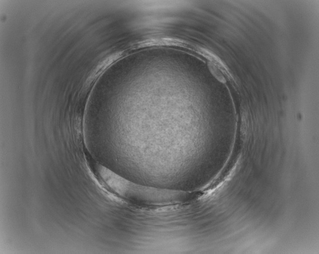 X0000068740849200605051449