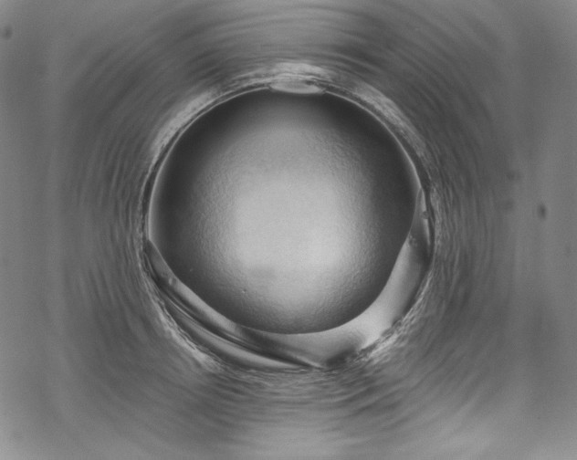 X0000068740850200605051449