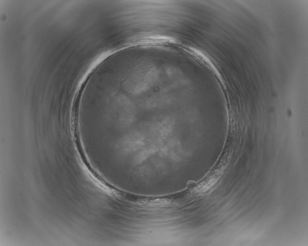 X0000068740851200605051449