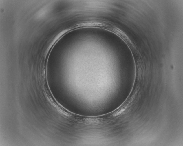 X0000068740852200605051449