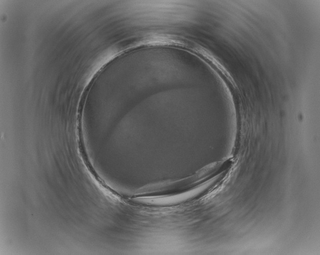 X0000068740853200605051449