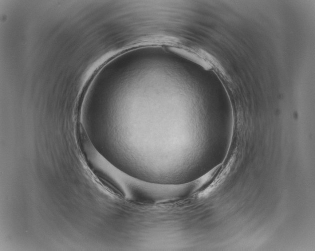 X0000068740854200605051449