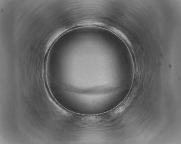 X0000068740855200605051449