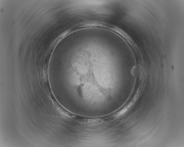 X0000068740857200605051449