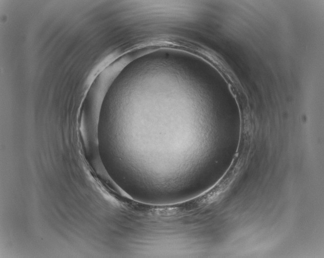 X0000068740858200605051449