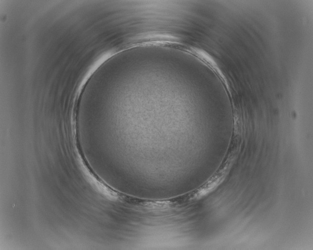 X0000068740859200605051449