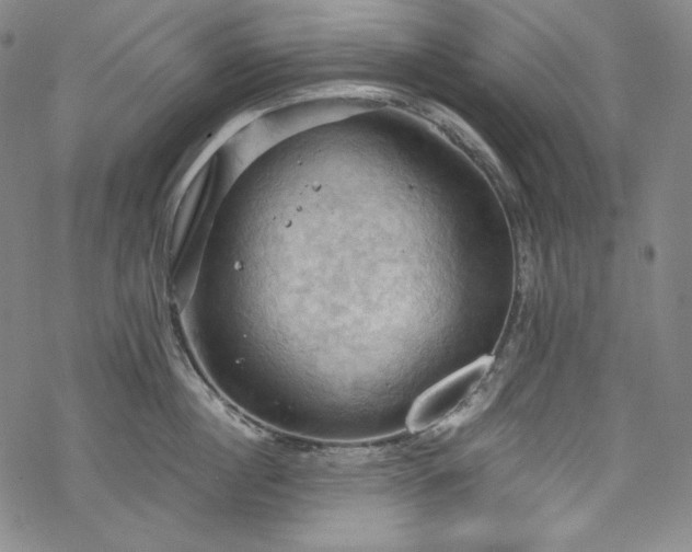 X0000068740860200605051449