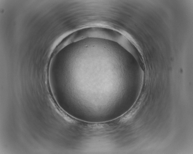 X0000068740862200605051449