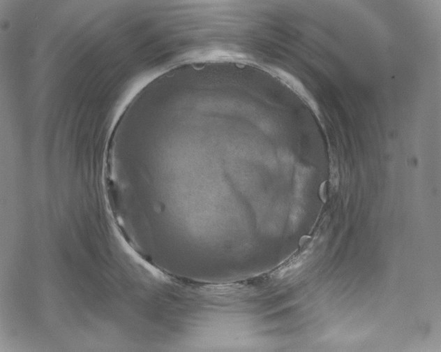 X0000068740863200605051449