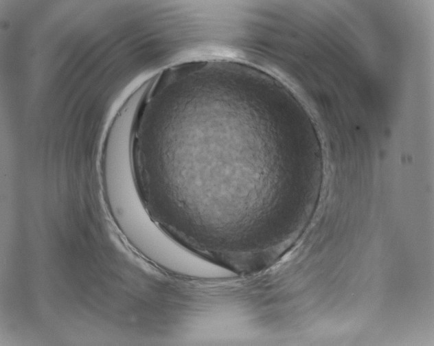 X0000068740864200605051449