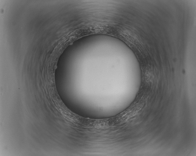 X0000068740865200605051448