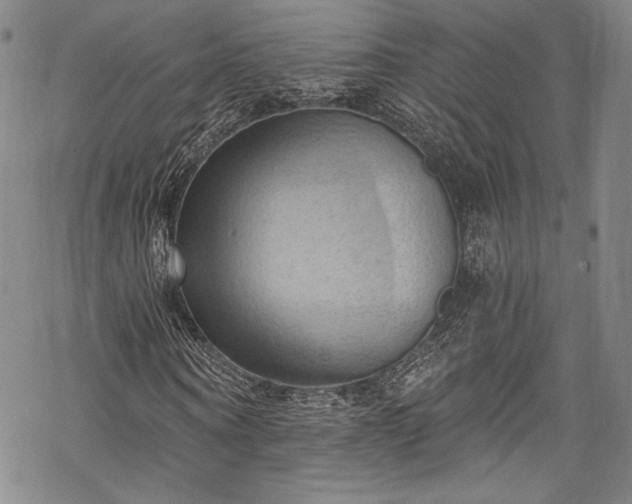 X0000068740866200605051448