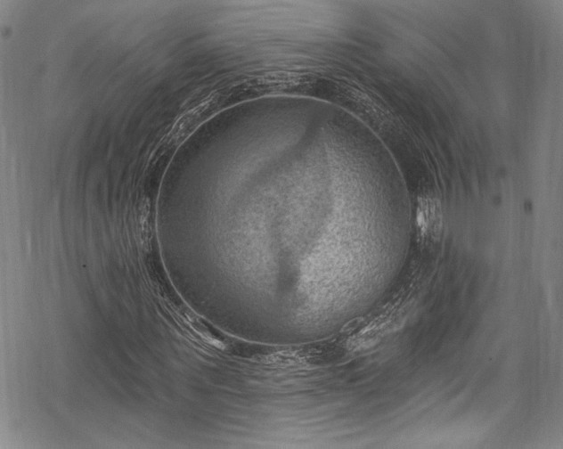 X0000068740867200605051448