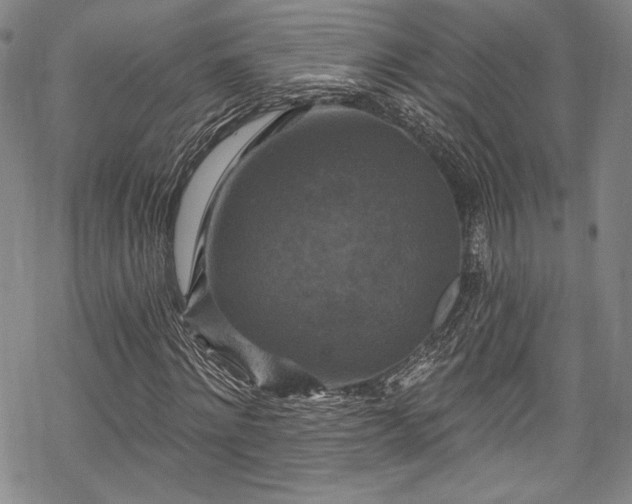 X0000068740868200605051448