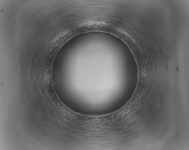 X0000068740869200605051448