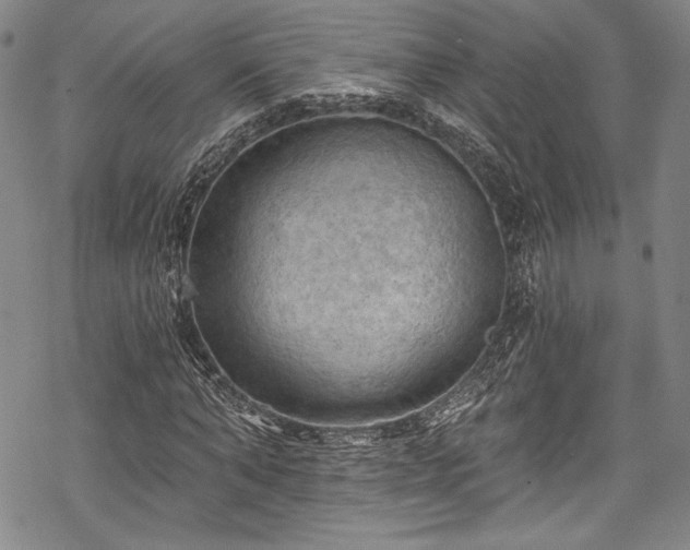 X0000068740870200605051448