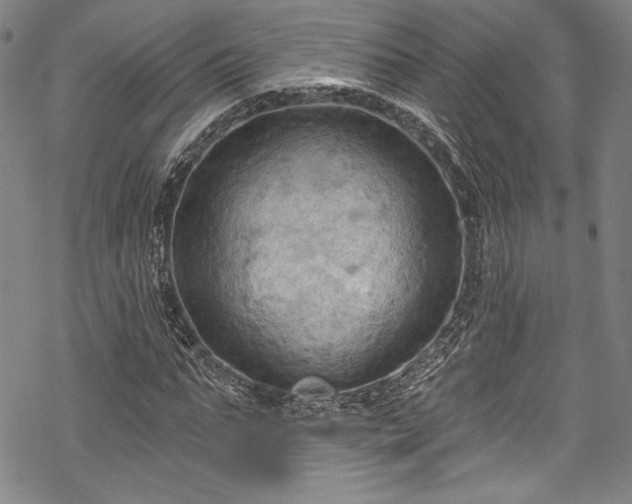 X0000068740871200605051448