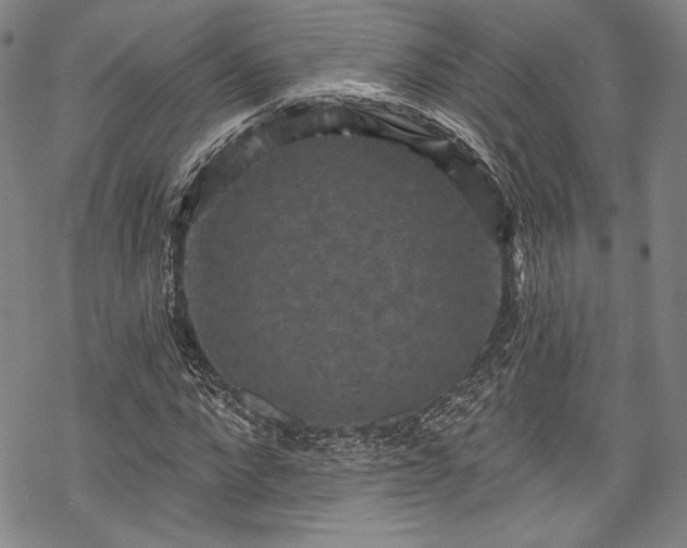 X0000068740872200605051448