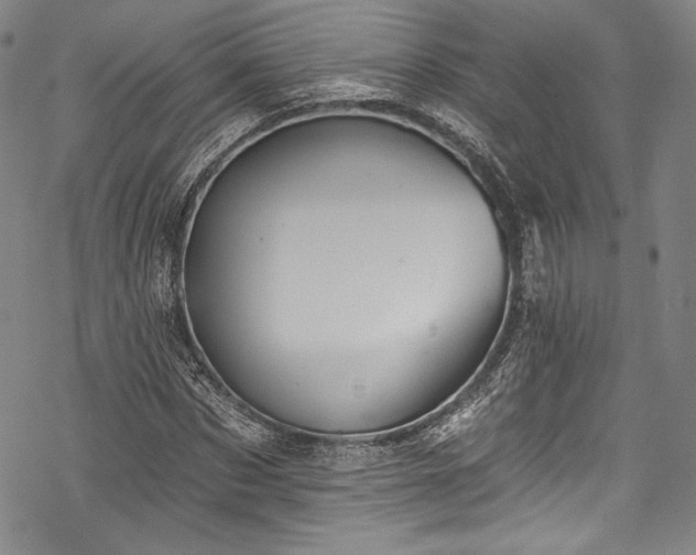 X0000068740873200605051448