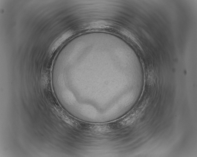 X0000068740874200605051448