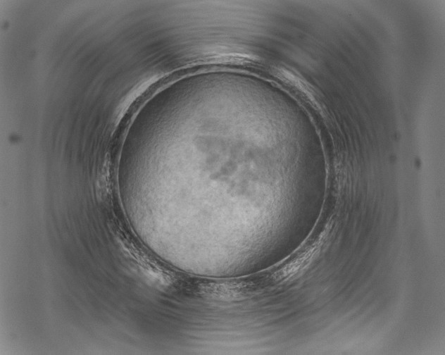 X0000068740875200605051448