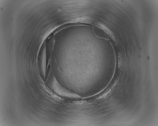 X0000068740876200605051448