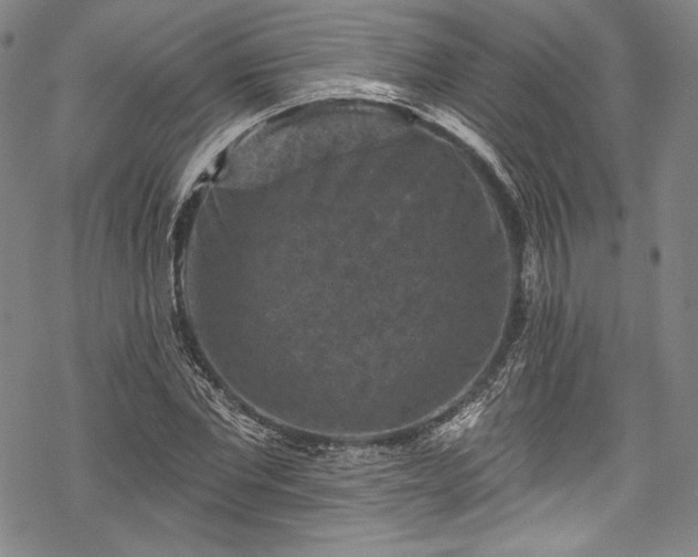 X0000068740877200605051448