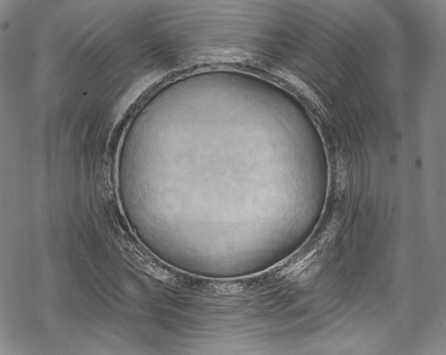 X0000068740878200605051448