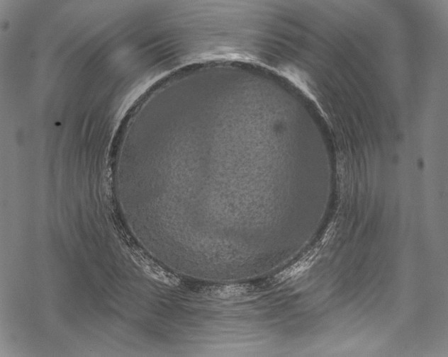 X0000068740879200605051448