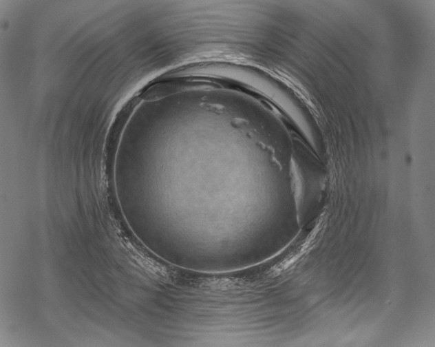 X0000068740880200605051448