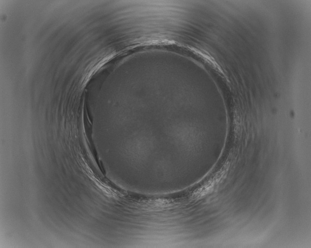 X0000068740881200605051448