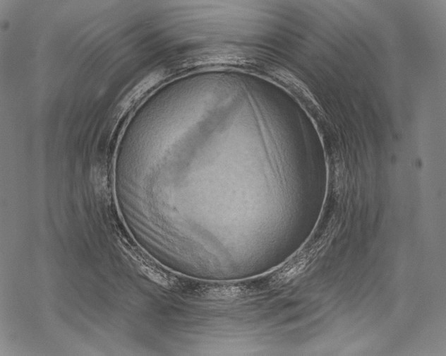 X0000068740882200605051448