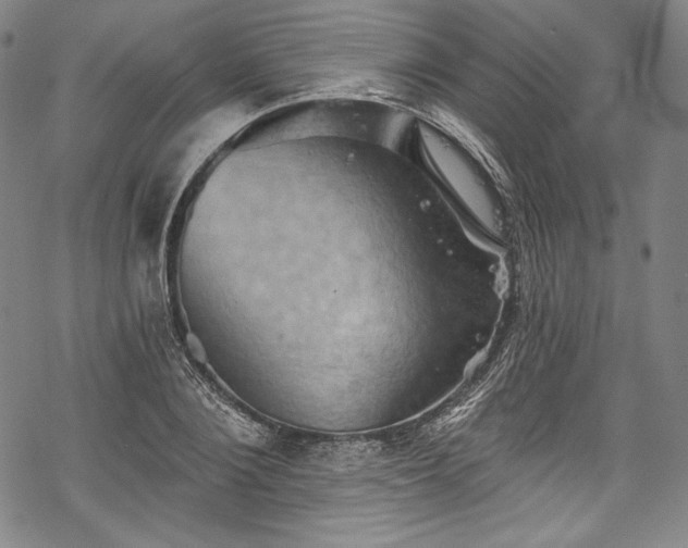 X0000068740884200605051448