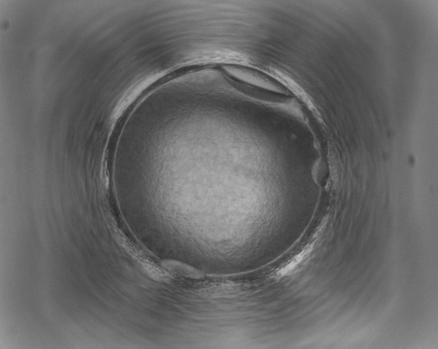 X0000068740885200605051448