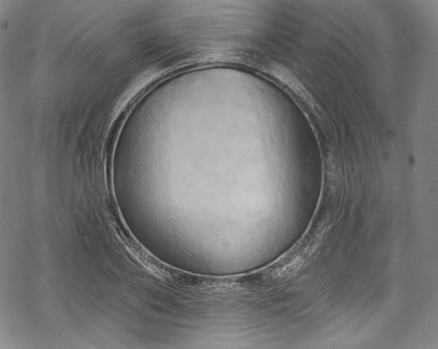 X0000068740886200605051448