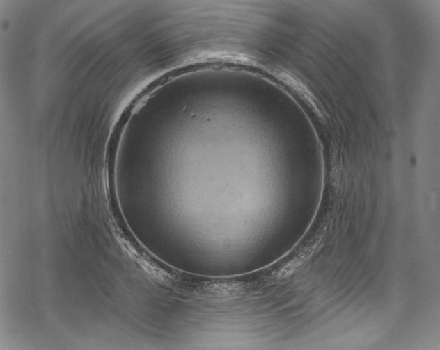 X0000068740888200605051448