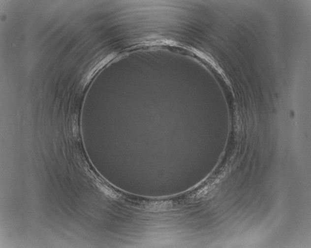 X0000068740889200605051448